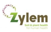 Zylem-Logo-cropped_13-feb-22-300×190 Zylem-Logo-cropped_13-feb-22-300x190